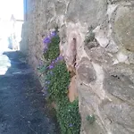 L 'appel Du Canigou * Casteil