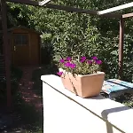 L 'appel Du Canigou * Casteil