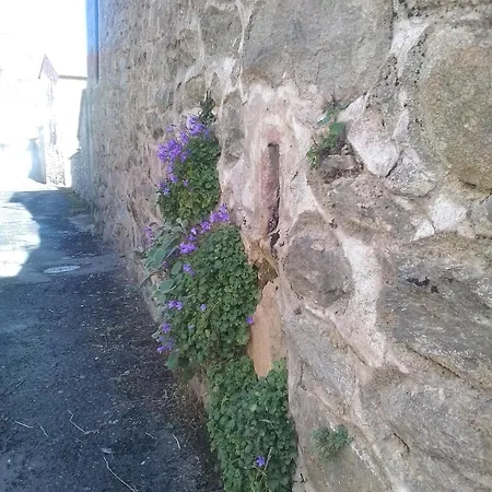 L 'appel Du Canigou * Casteil
