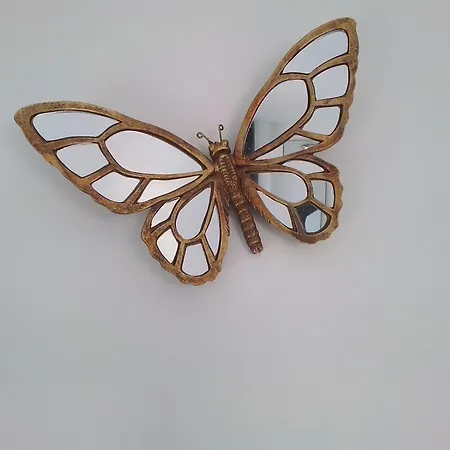 L 'appel Du Canigou Casteil