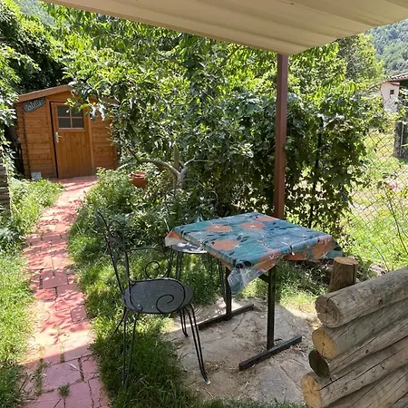 L 'appel Du Canigou