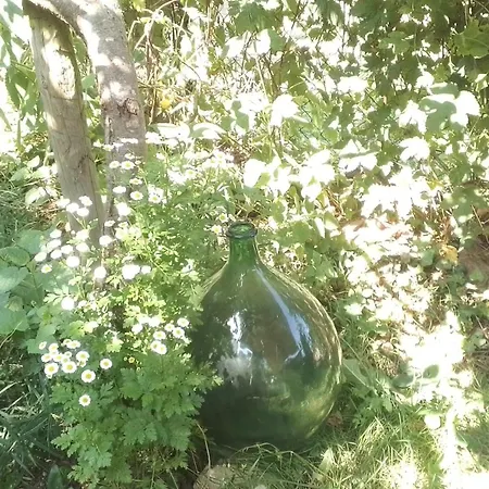 Apartman L 'appel Du Canigou