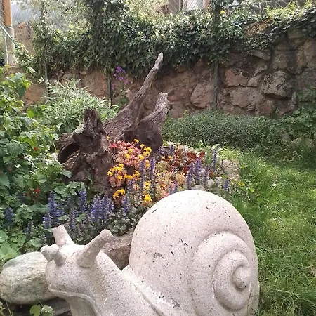 L 'appel Du Canigou Casteil