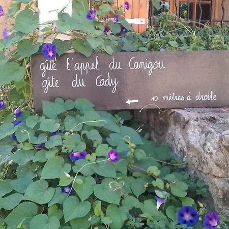 Apartman L 'appel Du Canigou *